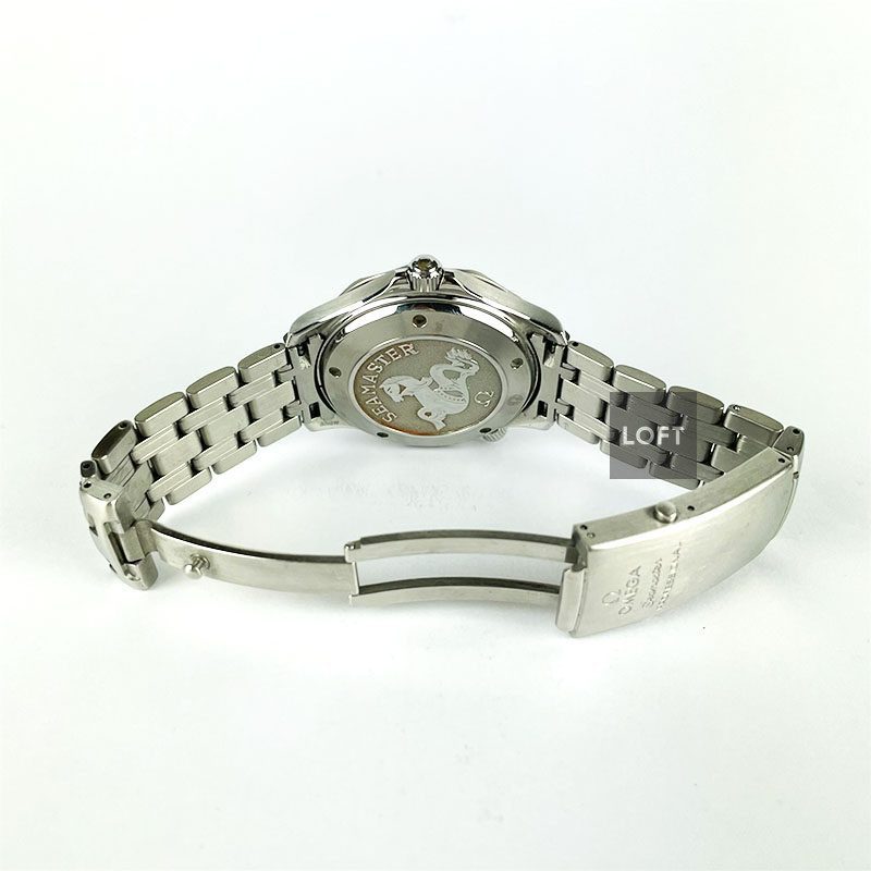 Omega Seamaster Diver 300M Co-Axial Chronometer 41 mm