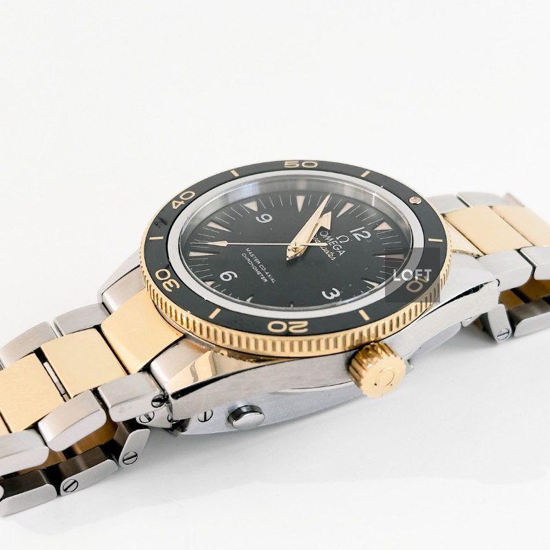 Omega Seamaster 300 Yellow Gold/Steel Black Dial 41 mm