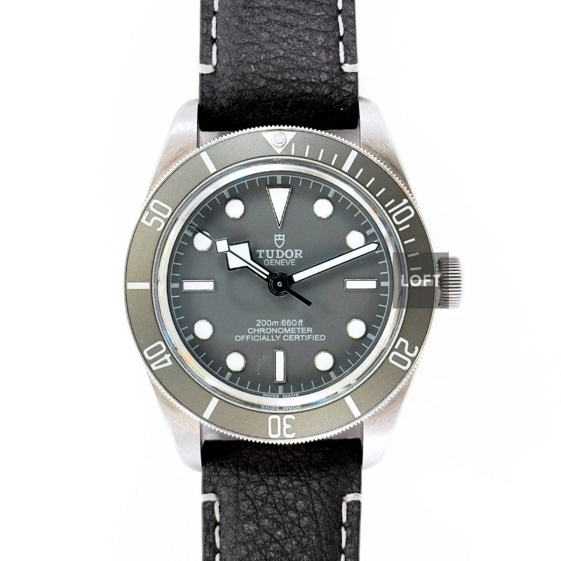 Tudor Black Bay 58 925 Silver Mole Gray Dial 39 mm