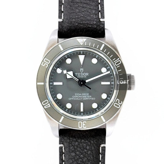 Tudor Black Bay 58 925 Silver Mole Gray Dial 39 mm