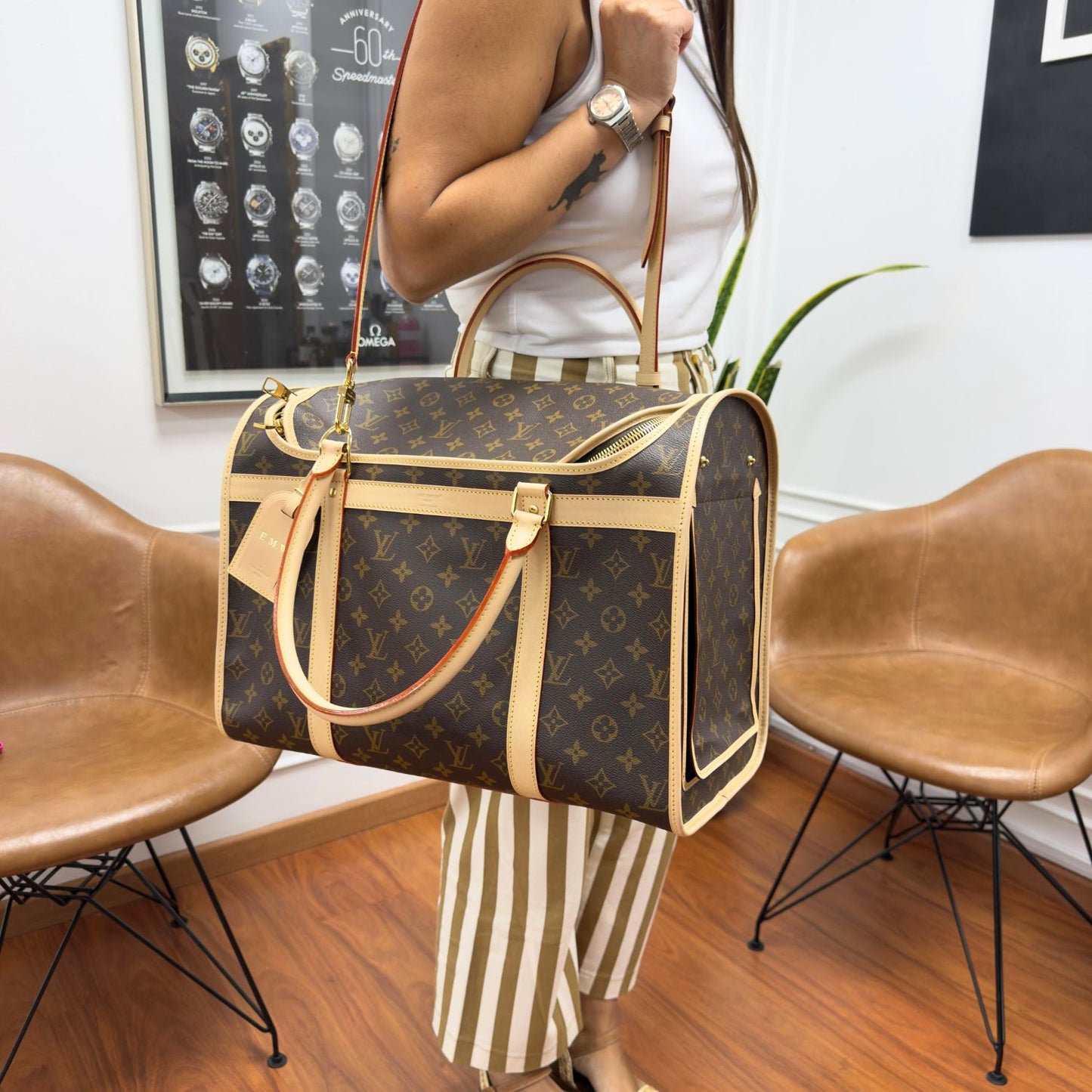 Louis Vuitton Bolsa para Mascotas Monogram