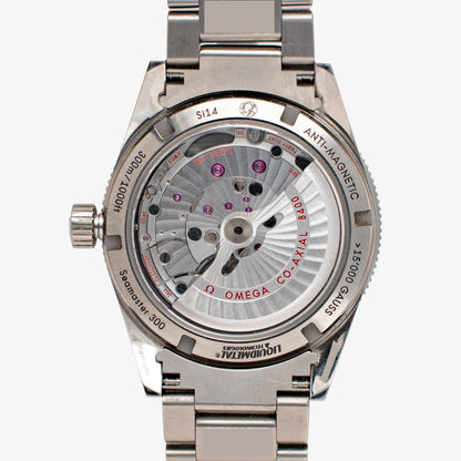 Omega Seamaster 300 Titanium Ceramic Bezel 41 mm