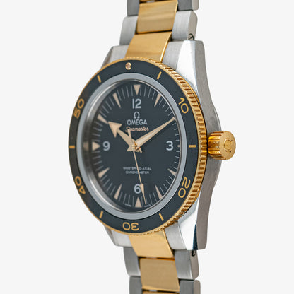 Omega Seamaster 300 Yellow Gold/Steel Black Dial 41 mm