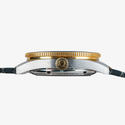 Omega Seamaster 300 Yellow Gold/Steel Black Dial 41 mm