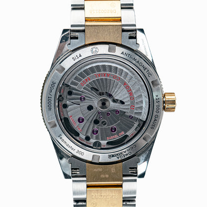Omega Seamaster 300 Yellow Gold/Steel Black Dial 41 mm