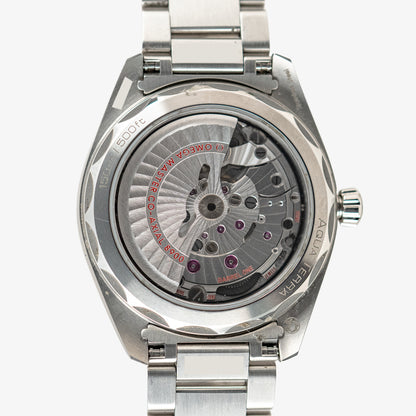 Omega Seamaster Aqua Terra Automatic Blue 41mm