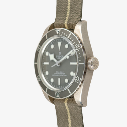 Tudor Black Bay Fifty-Eight Silver Automatic Taupe Dial 39mm