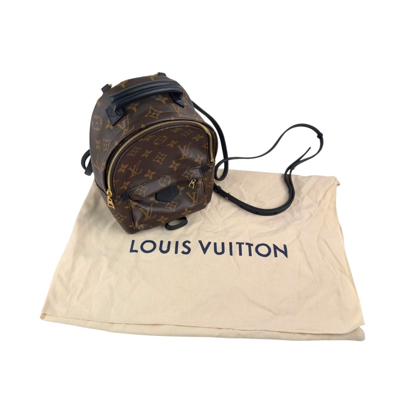 Louis Vuitton P.Spring Mini NV MNG